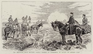 Mountain Mule Battery，最近在Aldershot成立，在Caesar营地的行动中 作者 阿尔弗雷德·尚特雷·科博尔德