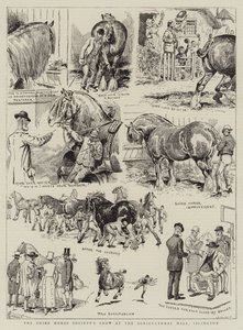 夏尔马协会在伊斯灵顿农业大厅的展览 作者 阿尔弗雷德·尚特雷·科博尔德