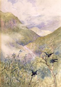 望着百合花：日光谷向东望向Shimo-no-Tsuke省，c.1889（纸上写着） 作者 东阿尔弗雷德