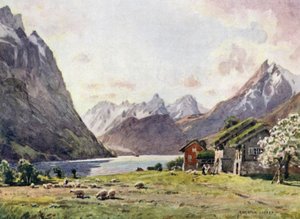 Hjorund Fjord，Goose 作者 阿尔弗雷德·希顿·库珀