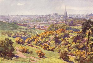 来自诺福克郡Mousehold Heath的Norwich 作者 阿尔弗雷德·希顿·库珀