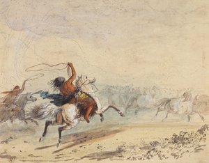 套野马，约 1837 年（纸上铅笔、钢笔、墨水、水彩和水粉画） 作者 阿尔弗雷德·雅各布·米勒