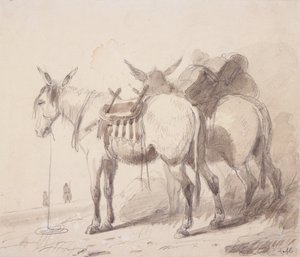 骡子装备，约 1837 年（纸上铅笔和水彩画） 作者 阿尔弗雷德·雅各布·米勒