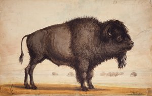 清风拂面》，约 1837 年（纸面水彩画） 作者 阿尔弗雷德·雅各布·米勒