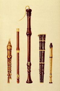 来自&39;Musical Instruments&39;（彩色光刻）的双层flageolet，德国长笛，贝斯录音机，双层flageolet和录音机