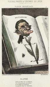 Déséchée花：关于Littré的漫画--1871年2月1日 "每日花卉、水果和蔬菜 "中的插图。