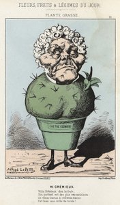 格拉斯植物。关于阿道夫-克雷米厄的漫画--1871年2月25日 "每日花卉、水果和蔬菜 "中的插图。 作者 阿尔弗雷德·勒·佩蒂特