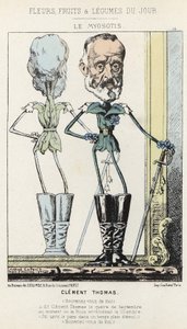 Le Myosotis：关于克莱门特-托马斯的漫画--1871年2月3日在 "当天的花、水果和蔬菜 "中的图片。