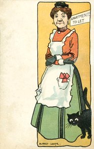 女房东和她的宠物猫(色拉图)