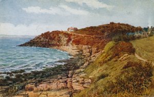 Clevedon，Lady&39;s Bay