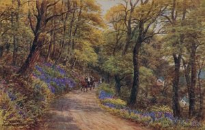 Clovelly，The Hobby Drive 作者 阿尔弗雷德·罗伯特·昆顿