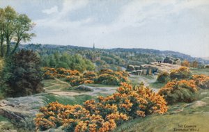共同的，Tunbridge Wells 作者 阿尔弗雷德·罗伯特·昆顿