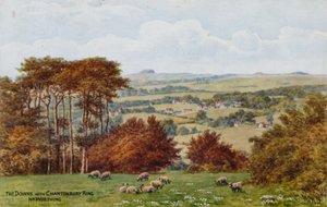 The Downs with Chantonbury Ring，Nr Worthing 作者 阿尔弗雷德·罗伯特·昆顿