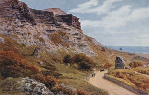 Undercliff，Niton，I of Wight 作者 阿尔弗雷德·罗伯特·昆顿