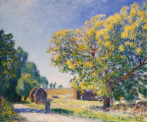 森林周围的一片空地；围绕着森林的克莱里埃（Clairiere） 作者 阿尔弗雷德·西斯利