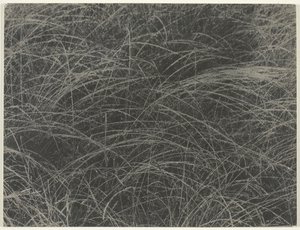 等价物，1927年。 作者 阿尔弗雷德·斯蒂格利茨