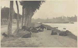 巴黎附近的塞纳河上，1894年，1897年印刷。 作者 阿尔弗雷德·斯蒂格利茨