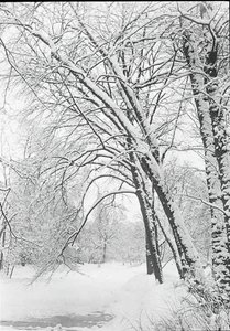 雪景，柏林，188892年。 作者 阿尔弗雷德·斯蒂格利茨