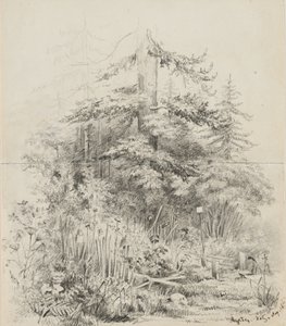 俄罗斯印第安人墓地，1841年（石墨在两张缝制的写字簿上的奶油编织纸） 作者 阿尔弗雷德·托马斯·玛格