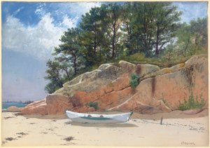 多莉在达纳（Dana）的海滩上玩耍，马萨诸塞州曼彻斯特海边，1879年 作者 阿尔弗雷德·汤普森·布里彻