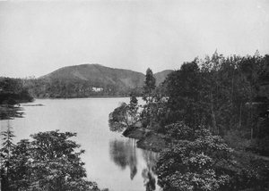 努沃勒埃利耶湖的一角，c1890，1910年 作者 阿尔弗雷德·威廉·阿曼杜斯板