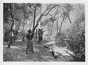 锡兰的大象骑兵向寨子前进，c1890，1910年 作者 阿尔弗雷德·威廉·阿曼杜斯板