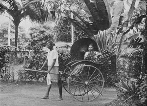 1910年于1890年在人力车中的泰米尔夫人