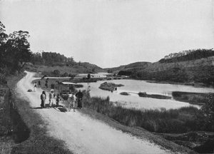 月亮平原，努沃勒埃利耶，约1890年，1910年 作者 阿尔弗雷德·威廉·阿曼杜斯板