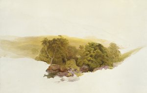 Martin&39;s Hill，Dockwigg，c.1862（水彩石墨）