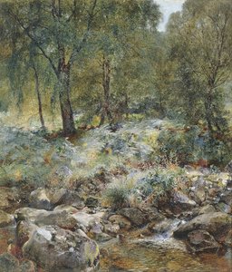 当叶子开始转动时，1856年