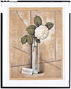 玻璃中的栀子花，约 1936 年（新闻纸上的水粉、水彩和粉笔画）