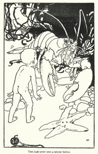 查尔斯-金斯利为《水宝宝》绘制的插图（石版画） 作者 爱丽丝·博林布鲁克（后）伍德沃德