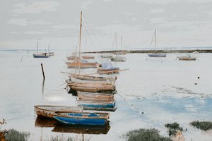 利港的船，2018 年（手绘照片）