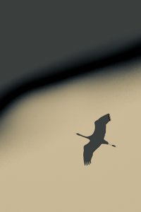 进入虚空，2016（摄影）