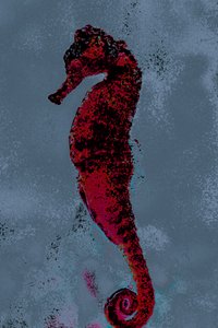 海马，2018（手绘照片）