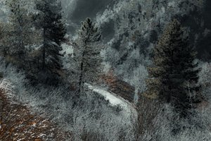 米兰之路》，2018 年（手绘照片）