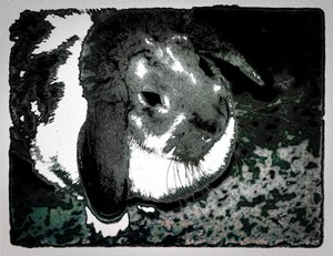 Rabbit Habbits，2022 年（重新绘制的照片）
