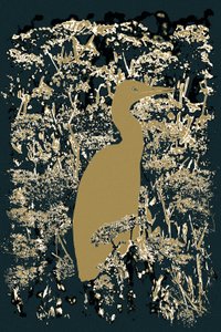 皇家白鹭，2015 年（照片）