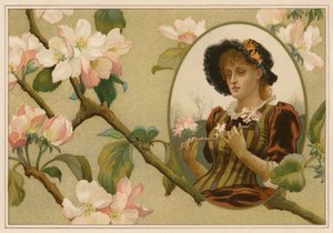 自负的苹果枝（chromolitho） 作者 爱丽丝·哈弗斯