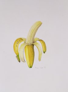 1997年半剥香蕉
