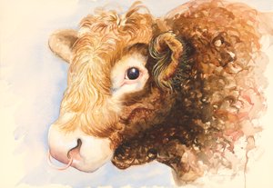 亚当公牛，2016年，水彩画