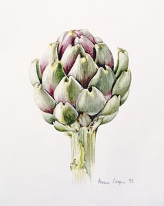 朝鲜蓟研究，1993年