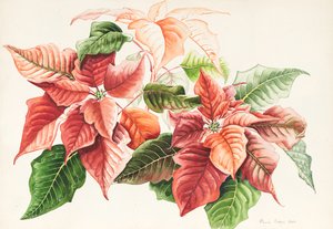 点缀》，2000 年（水彩画）