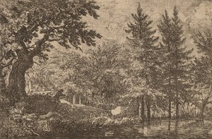 水边的冷杉树，大概在1645-1656年。 作者 阿拉特·范·埃弗丁根