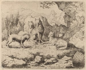 担任信使的猫，大概在1645-1656年。 作者 阿拉特·范·埃弗丁根