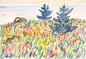 第 35 号水彩画第 35 号，有两棵松树的田野