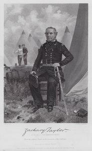 Zachary Taylor (engraving) 作者 阿隆佐（后）查佩尔