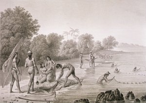 马里亚纳群岛当地人使用的传统捕鱼方法，摘自《世界之旅（1817-20）》，作者Louis Claude Desaulses de Freycinet（1779-1842），由Bovinet雕刻，1822-24年出版（平板）。