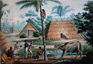 帝汶库邦周围的景色，摘自《1817-20年乌兰尼的环球旅行》，由Pomel刻制，1825年出版（雕刻版）。