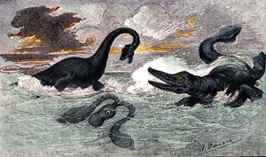 利亚斯期（下侏罗世）：栉水母龙和伊奇龙、自然造物和生物（朱尔斯-伦加德著），A. Demarle 绘制。1885